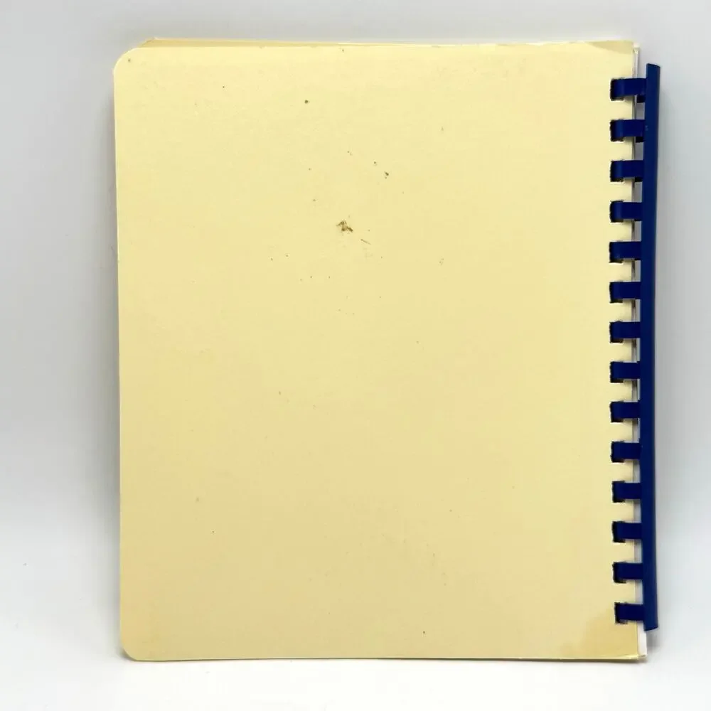 Germantown Hills Illinois St Mary of Lourdes Church Cookbook Recipes Vintage 90s